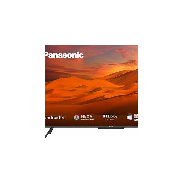 Panasonic 4K
